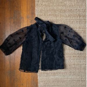 Zara semi sheer polka dot blouse